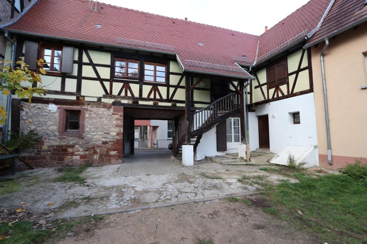 Homeday Cultivateur N°2 Appartement Type F3 Haguenau Exteriér fotografie